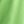 Chlorophyll