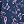 Navy Party