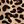 Tan Wild Cheetah
