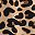 Tan Wild Cheetah