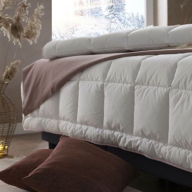Duvetta 100% Cotton Comforter with Cotton Fabric Cover, Premium Quality Cotton, Medium Weight Quilt