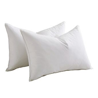 Peace Nest Premium Goose Blend Pillow，set of 2