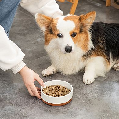 1-piece Stoneware Food Bowl for Dogs and Cats, Sesame Glaze, Two-Tone