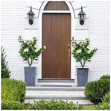 4 Pack Artificial Topiary Flower with Ground Spike ,Artificial Topiary Ball Trees,90cmx40cm