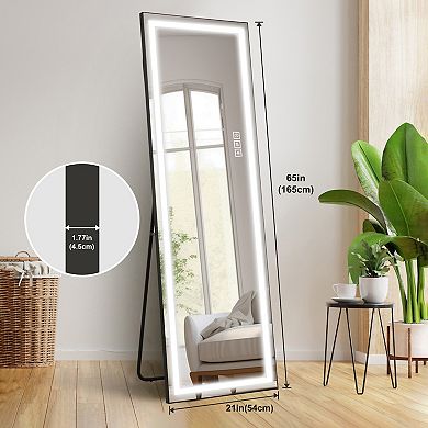 Whisen 64" LED Full Length Mirror, Standing Mirror, Floor Mirror with Rounded Corners