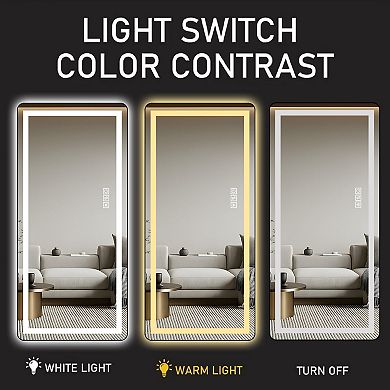 Whisen 64" Full Length Mirror, Floor Mirror with LED Light and Aluminum Alloy Thin Frame