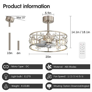 20-Inch Traditional Cage Ceiling Fan with 5-Light Fixture, DC Motor, 6 Speeds, Timer, Remote Control