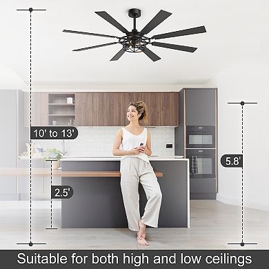 65-Inch Traditional Ceiling Fan with 8 Blades, Dual Bulb Light, DC Motor, Reverse, Remote, Timer