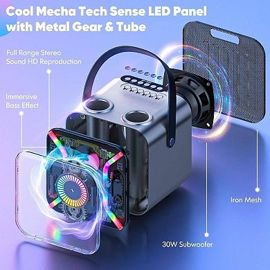 Karaoke Adults with Two Wireless Microphones, Speaker, Show, 360 - Degree Stable Bass Mic, Silver