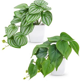 2 pc Small Fake Plants Artificial Mini Faux Plants for Bathroom Office Desk Shelf Table