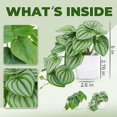 2Pcs Small Fake Plants Artificial Mini Faux Plants for Bathroom Office Desk Shelf Table