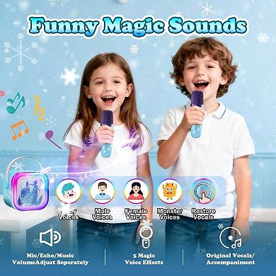 Bluetooth Wireless Speaker Microphone Karaoke Portable Voice Sound Audio Powerful Compact