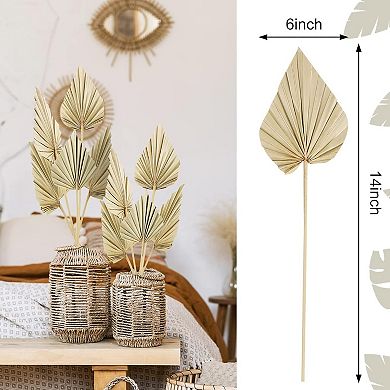 10 Pcs Boho Dried Palm Spears Leaves, Real Palm Fans with Stem, Boho Home Decor