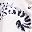 White Leopard