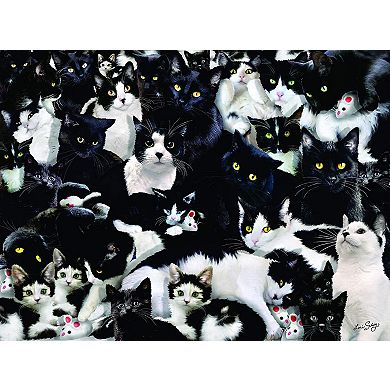 Study in Black and White 1000 piece Jigsaw Puzzle