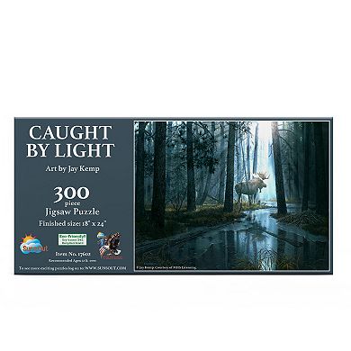 Caught by Light 300 piece Jigsaw Puzzle