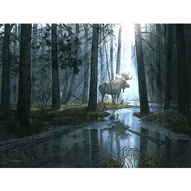 Caught by Light 300 piece Jigsaw Puzzle