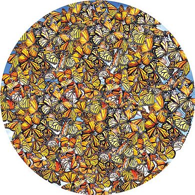 Monarch Frenzy 1000 piece Round Jigsaw Puzzle