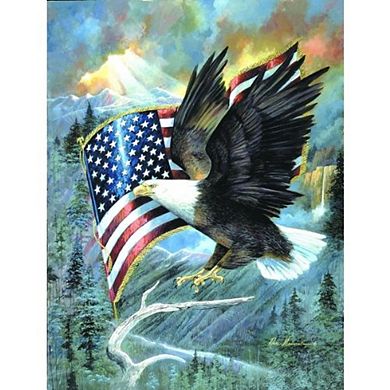 American Eagle 500 piece Jigsaw Puzzle