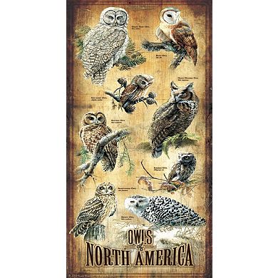 Owls of North America 500 piece Jigsaw Puzzle