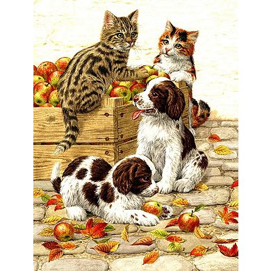 Box of Apples 500 piece Jigsaw Puzzle