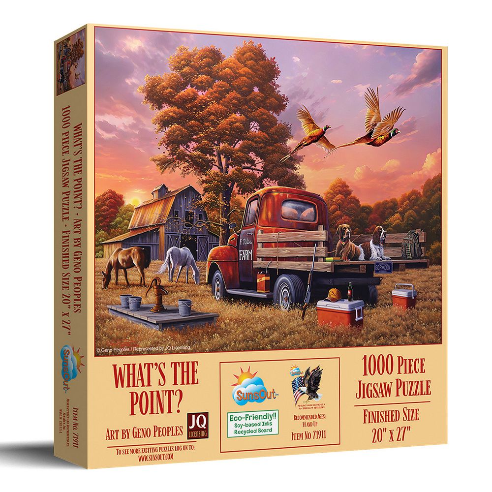 What's the Point? 1000 piece Jigsaw Puzzle
