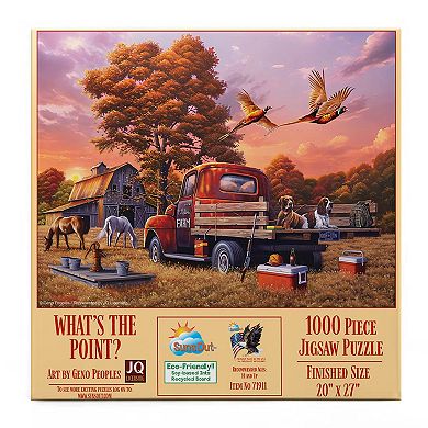 What's the Point? 1000 piece Jigsaw Puzzle