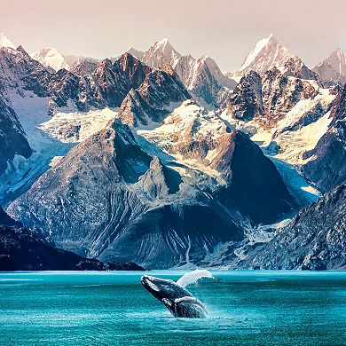 Trefl Red Nature in Action 1000 piece puzzle