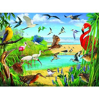 Florida Birds 1000 pc Jigsaw Puzzle