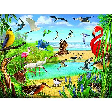 Florida Birds 1000 piece Jigsaw Puzzle