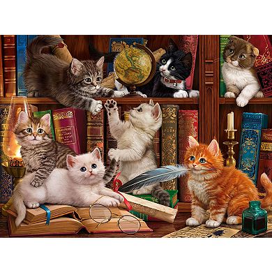 Library Kittens 1000 piece Jigsaw Puzzle