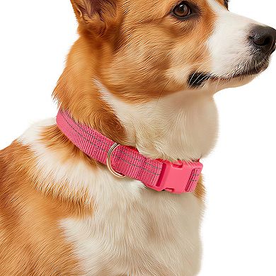 Friends Forever Adjustable Dog Collar