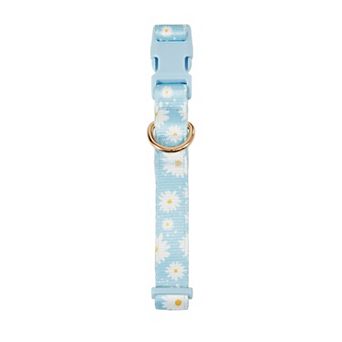 Friends Forever Adjustable Dog Collar