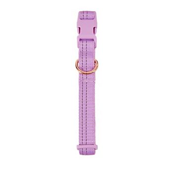 Friends Forever Adjustable Dog Collar