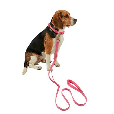 Friends Forever Adjustable Dog Leash