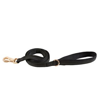 Friends Forever Adjustable Dog Leash