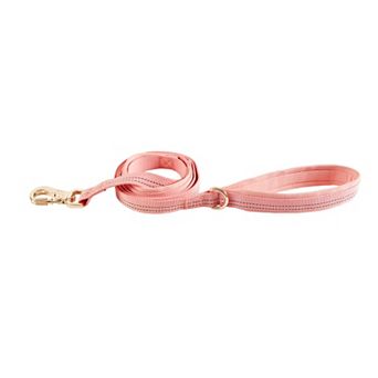 Friends Forever Adjustable Dog Leash