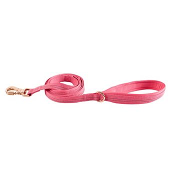 Friends Forever Adjustable Dog Leash