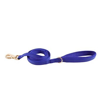 Friends Forever Adjustable Dog Leash