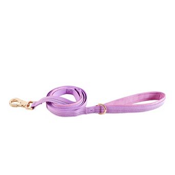 Friends Forever Adjustable Dog Leash