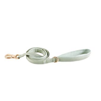 Friends Forever Adjustable Dog Leash