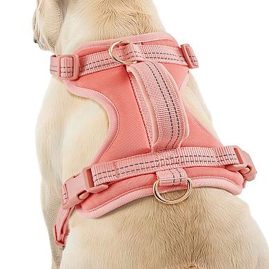 Friends Forever Adjustable Dog Harness