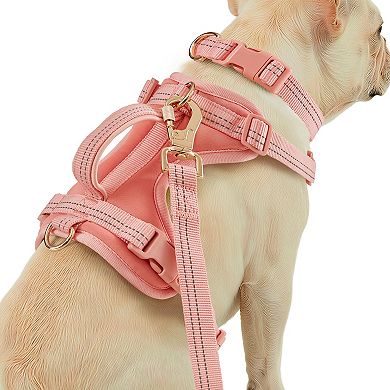 Friends Forever Adjustable Dog Harness