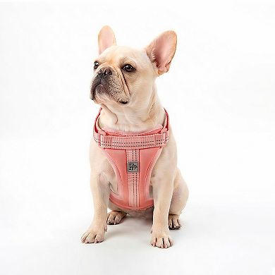 Friends Forever Adjustable Dog Harness