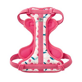 Friends Forever Adjustable Dog Harness