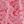 New Valley Paisley Cor