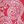 New Valley Paisley Cor