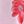 Nika Floral Barely Pnk