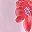 Nika Floral Barely Pnk