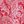 New Valley Paisley Cor